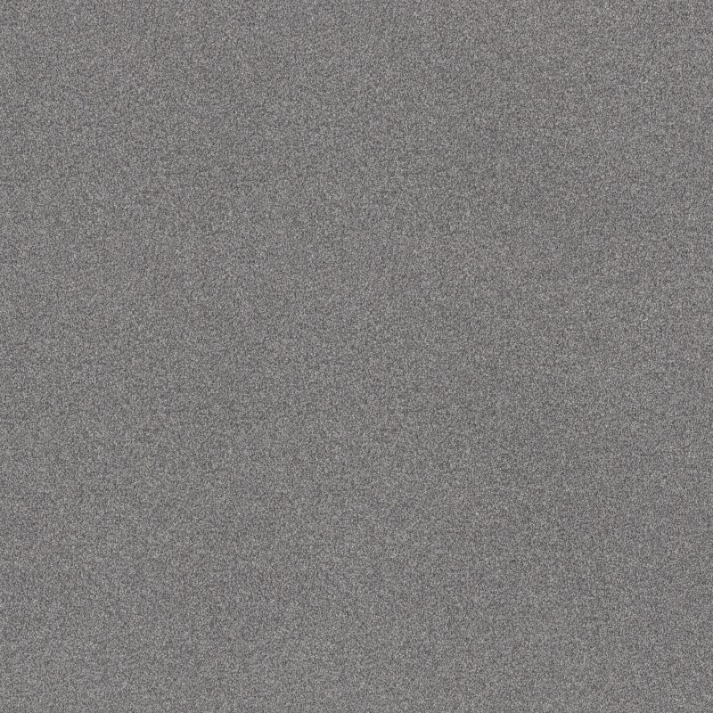 Shaw Floors SFA Tonal Comfort Blue Net Dolphin Sighting
