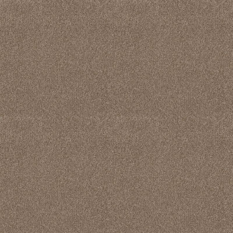 Shaw Floors SFA Tonal Comfort Blue Net Camping Trip