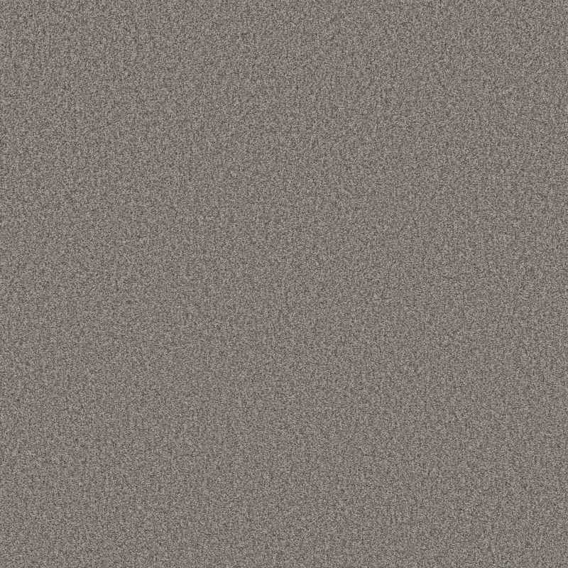 Shaw Floors SFA Tonal Comfort Blue Net Natural Fit