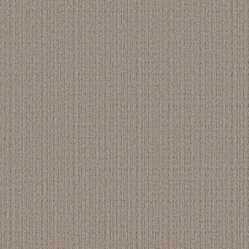 Shaw Floors Pet Perfect Ultra Lavish Net Cobblestone