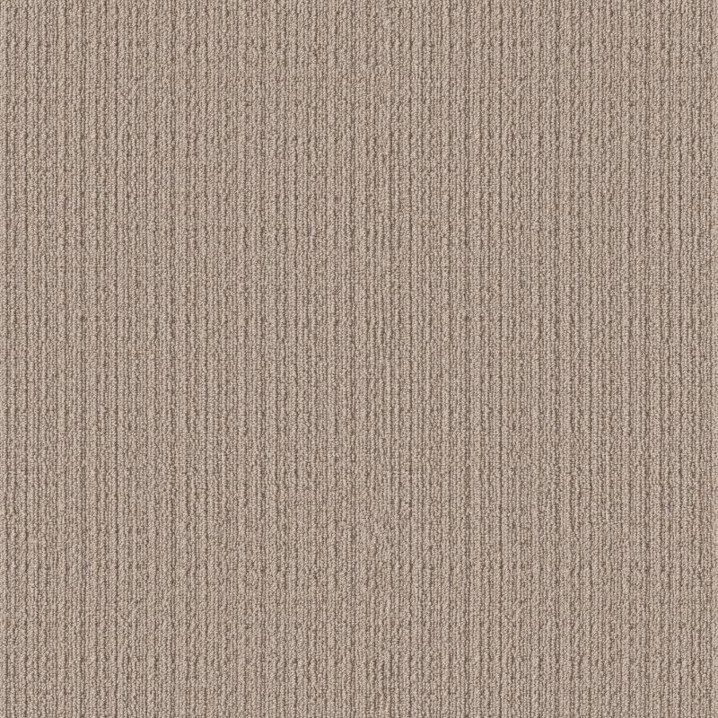 Shaw Floors Pet Perfect Ultra Lavish Net Sands Of Time