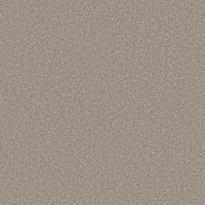 Shaw Floors Pet Perfect Ultra Lush Net Ethereal