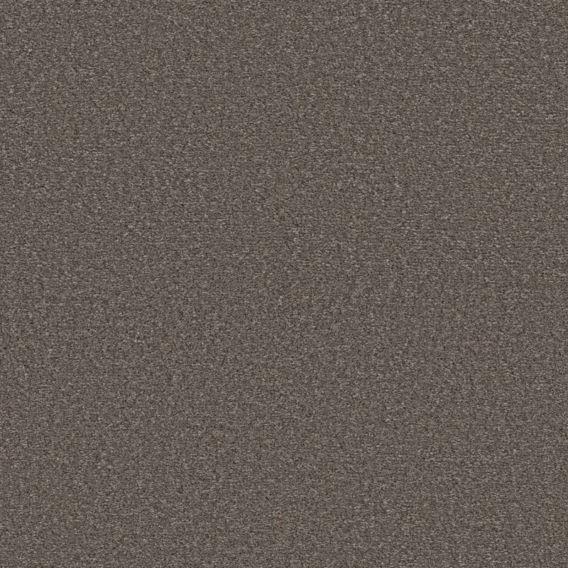 Shaw Floors Pet Perfect Ultra Lush Net Cappuccino