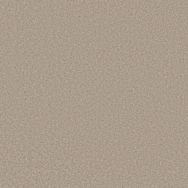 Shaw Floors Best Yet W Terms Sand