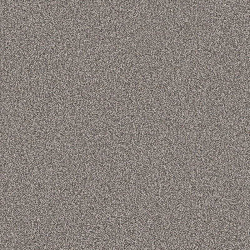 Shaw Floors Best Yet W Terms Stainless