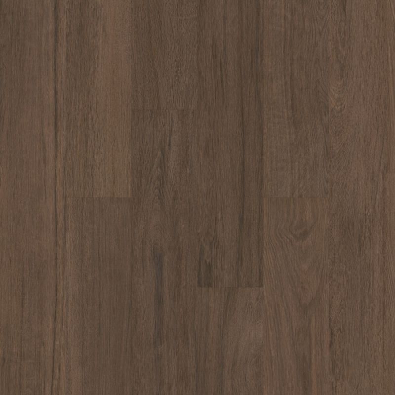 Shaw Floors 5th And Main Breaker's Point 5.0 Saguaro