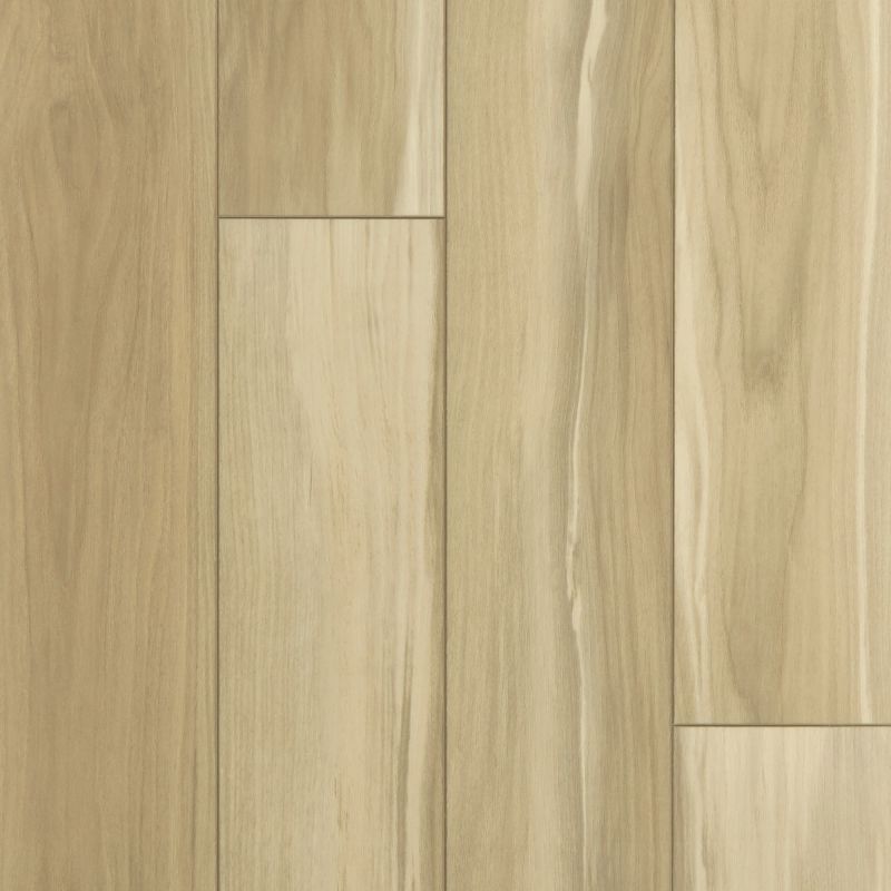 Shaw Floors SFA Adventure Hd+ Accent Warm Suede