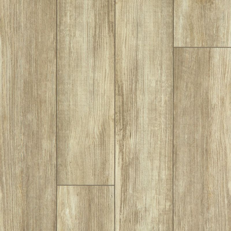 Shaw Floors SFA Adventure Hd+ Accent Olive Branch