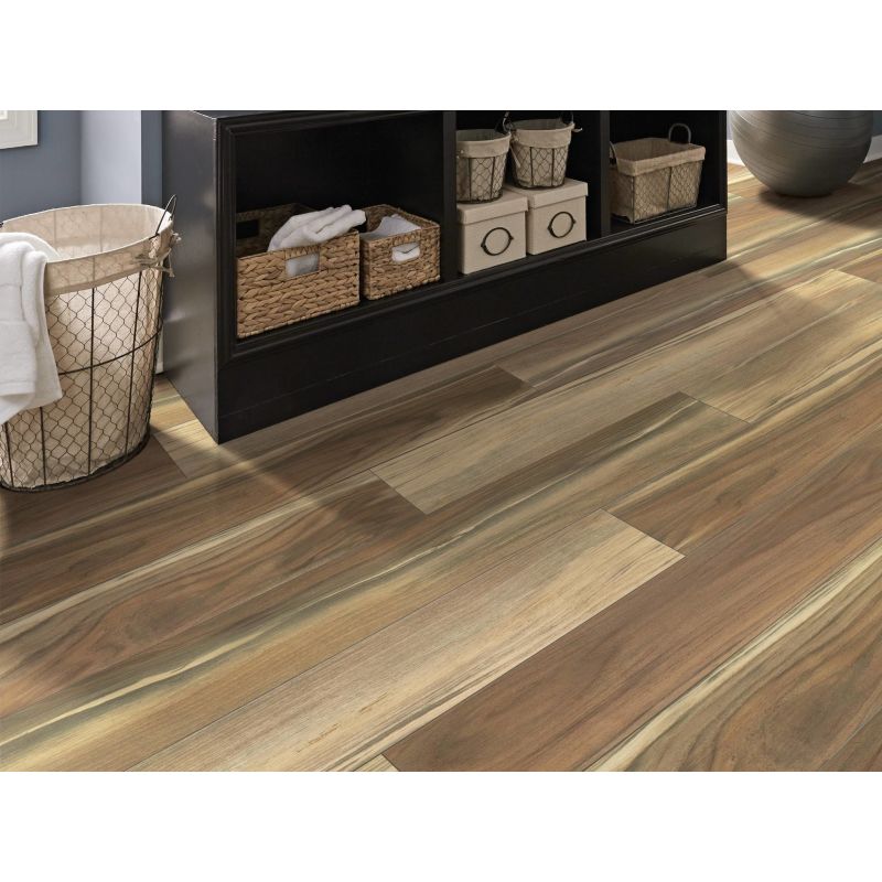 Shaw Floors SFA Adventure Hd+ Accent Phoenix