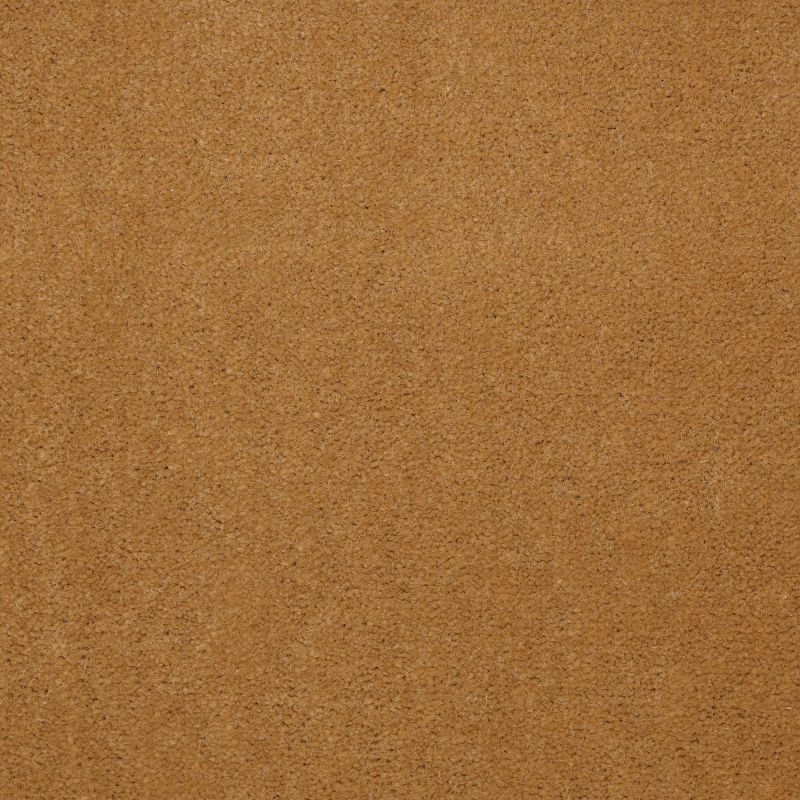 Philadelphia Commercial Tuff-enough Wrangler Gold