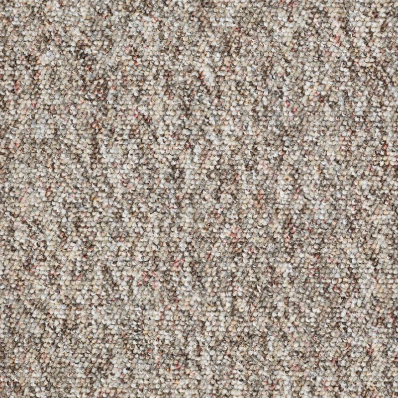 Shaw Floors Parade Of Stars 12 Boot Camp