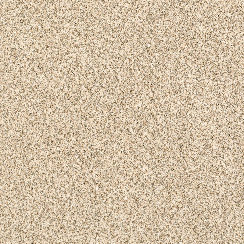 Shaw Floors Caress By Shaw Delicate Distinction Classic I Toasted Grain