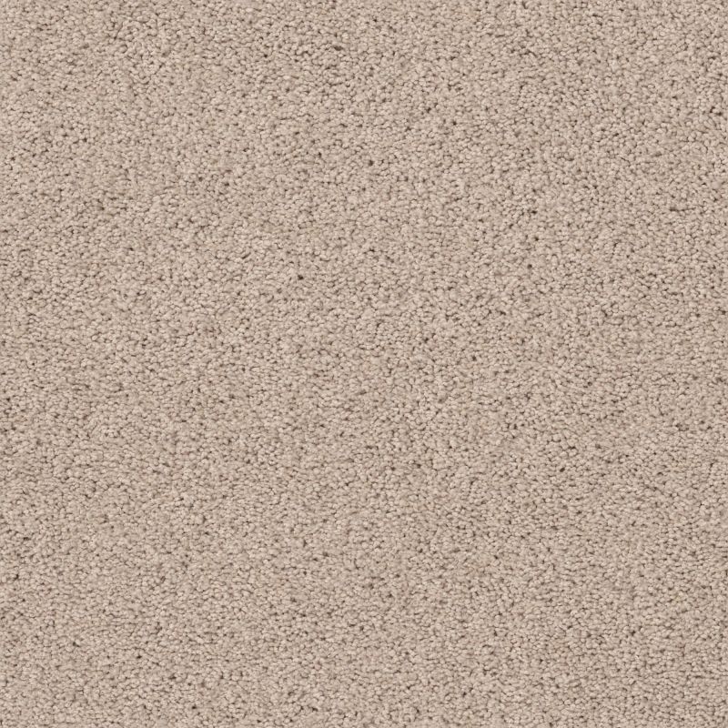 Shaw Floors Caress By Shaw Rich Opulence Lg Natural Beauty