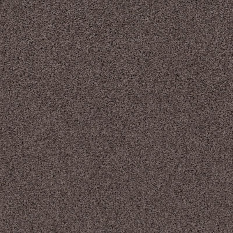 Shaw Floors Caress By Shaw Rich Opulence Lg Burma Brown