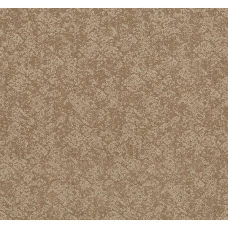 Shaw Floors Caress By Shaw Free Spirit Natural Beauty