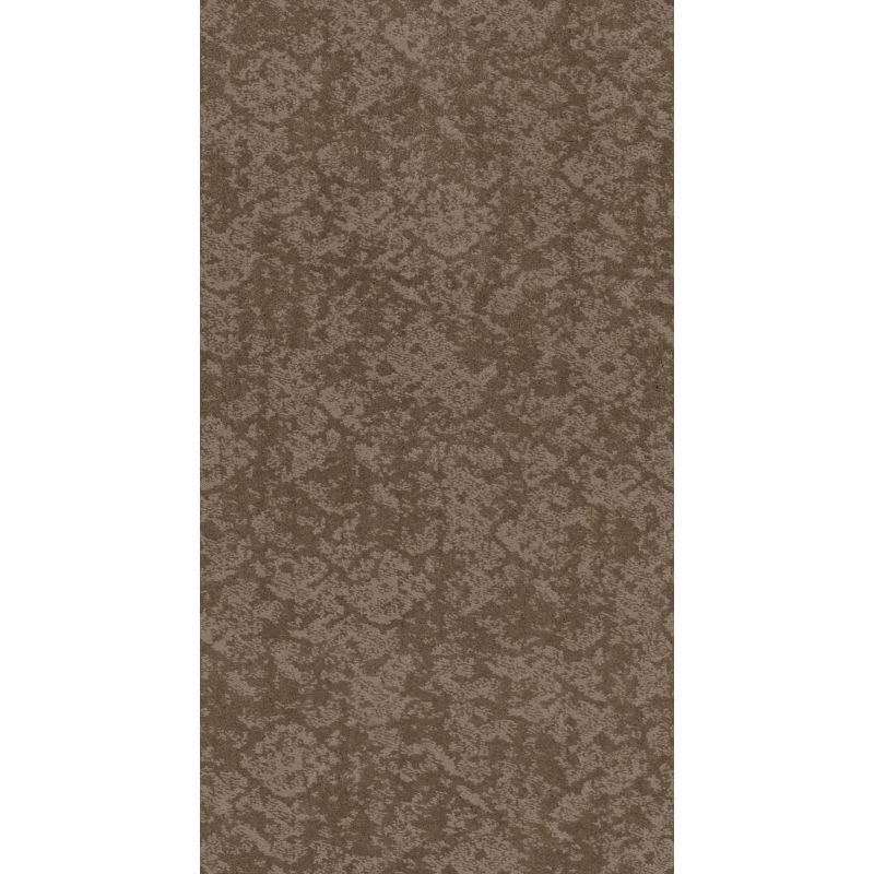 Shaw Floors Caress By Shaw Free Spirit Tumbleweed