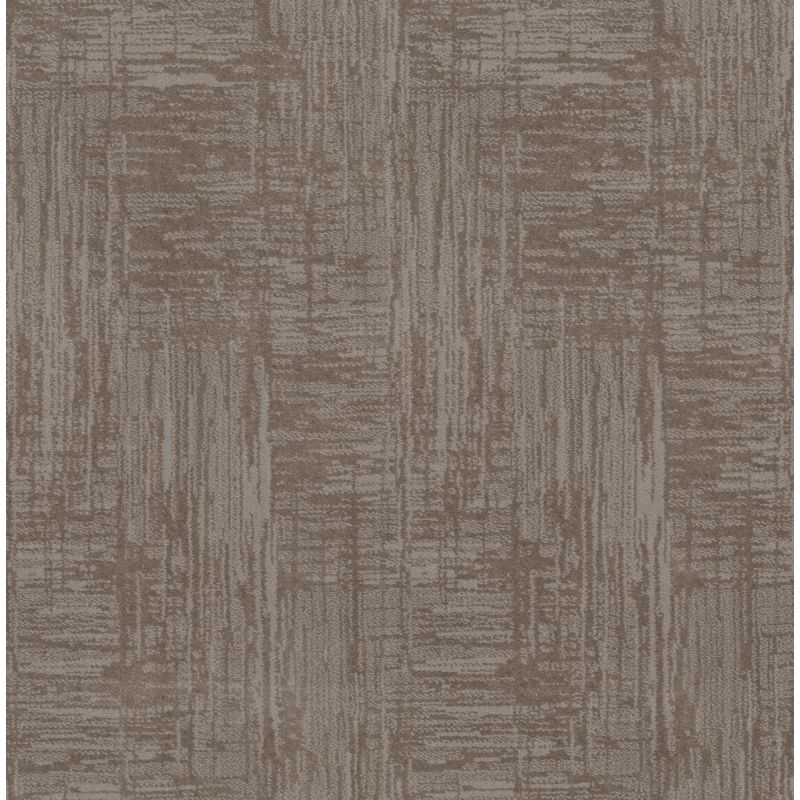 Shaw Floors Caress By Shaw Insightful Journey Stucco