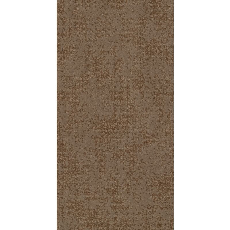 Shaw Floors Caress By Shaw Artistic Presence Raw Wood