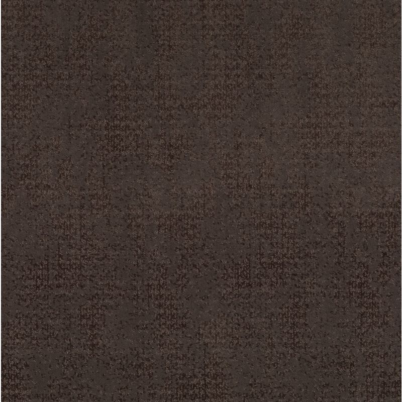 Shaw Floors Caress By Shaw Artistic Presence Burma Brown