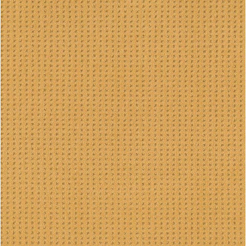 Shaw Floors Caress By Shaw Soft Symmetry Turmeric