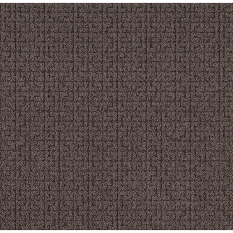 Shaw Floors Caress By Shaw Serene Key Burma Brown