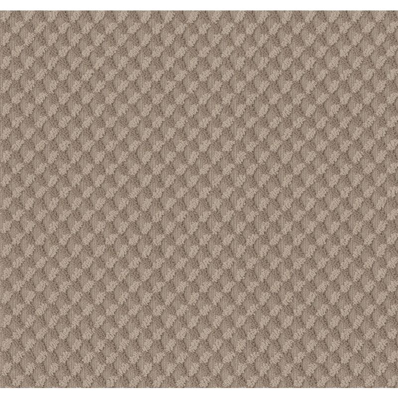 Shaw Floors Caress By Shaw Inspired Design Tumbleweed