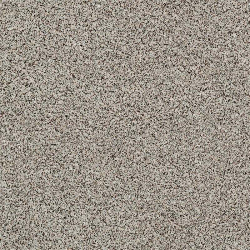 Shaw Floors Value Collections Angora Classic II Net Dala