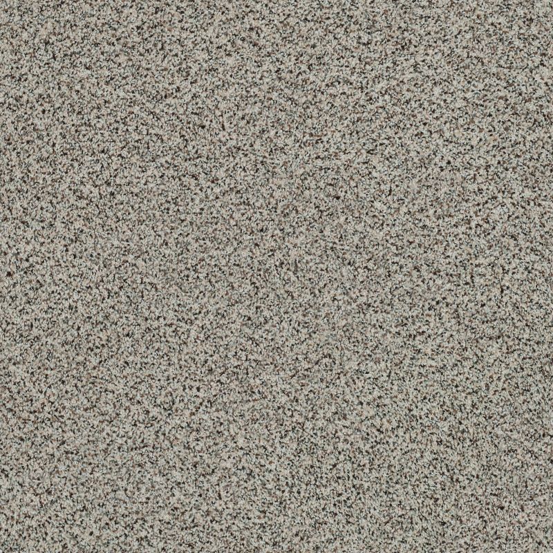 Shaw Floors Value Collections Angora Classic III Net Lamb
