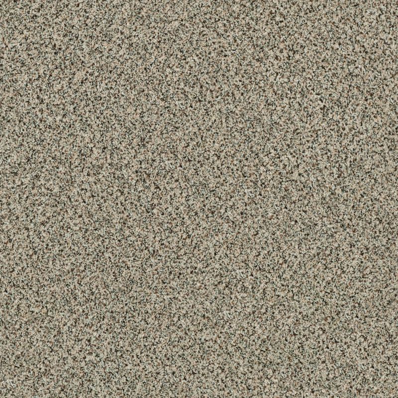 Shaw Floors Value Collections Angora Classic III Net Dartmoor