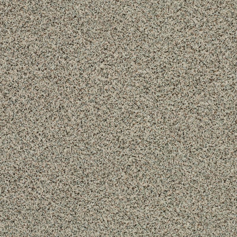 Shaw Floors Value Collections Angora Classic III Net Cormo