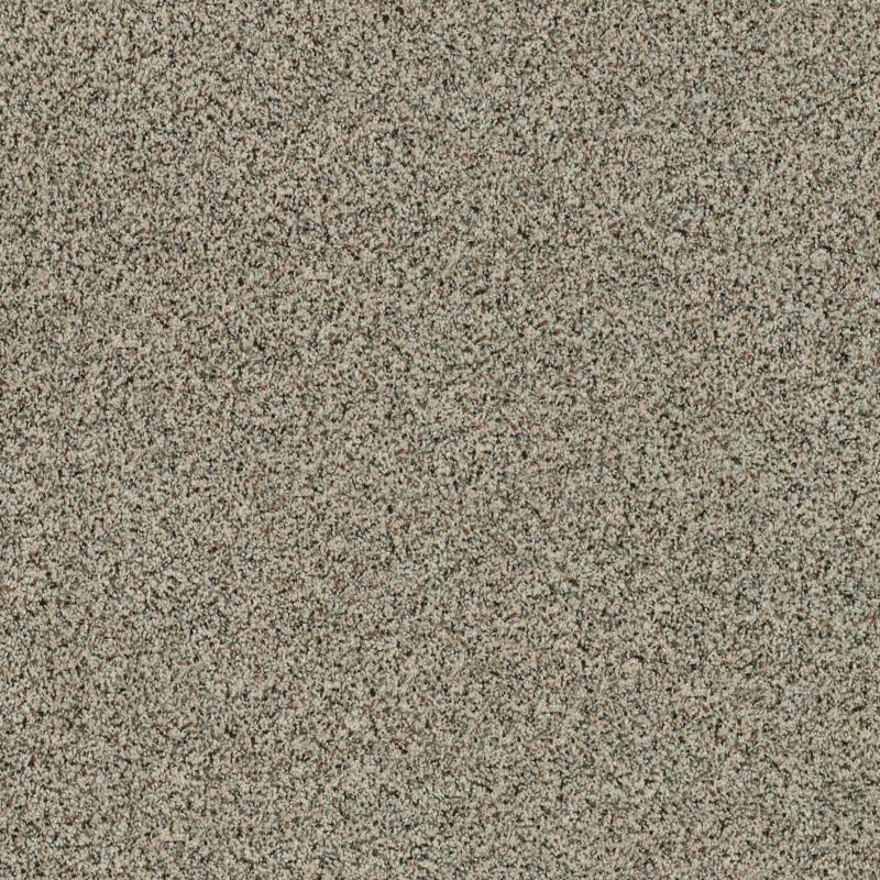 Shaw Floors Value Collections Angora Classic III Net Spindle