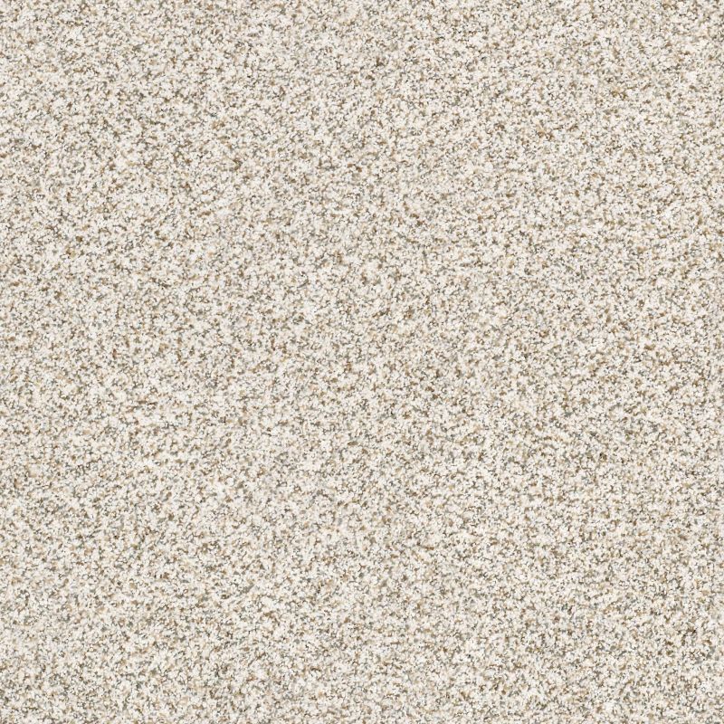 Shaw Floors Value Collections Devon Classic I Net Breton