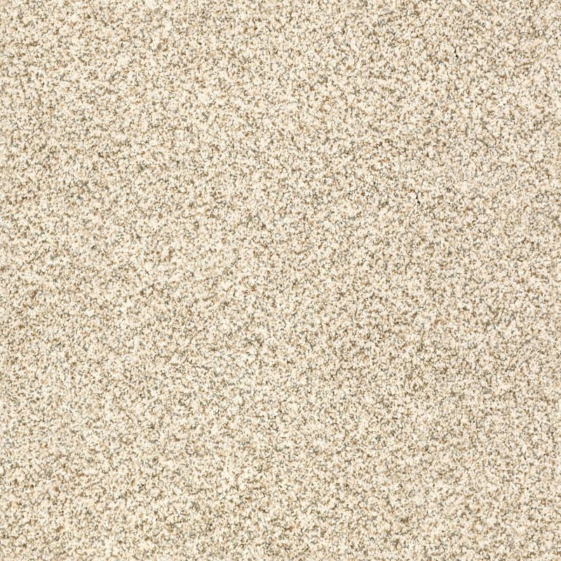 Shaw Floors Value Collections Devon Classic I Net Cream Tea