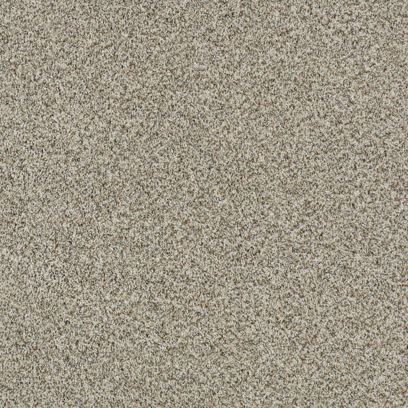 Shaw Floors Value Collections Devon Classic I Net Drizzle