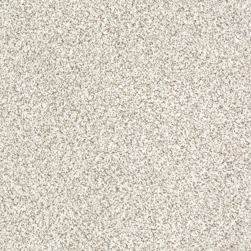 Shaw Floors Value Collections Devon Classic I Net Baybridge