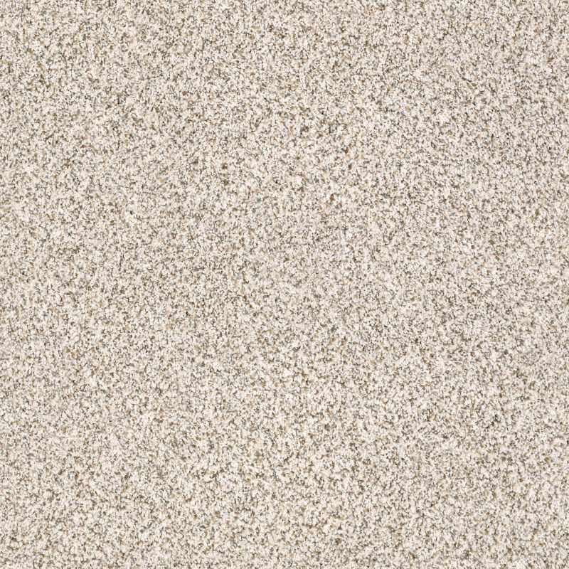 Shaw Floors Value Collections Devon Classic I Net Heath