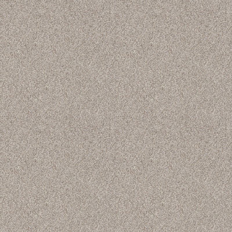 Shaw Floors Value Collections Devon Classic II Net Breton