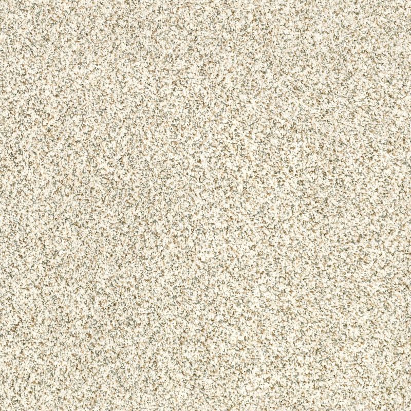 Shaw Floors Value Collections Devon Classic II Net Cliff