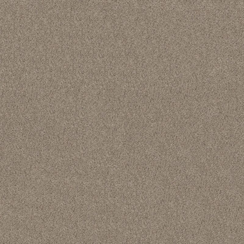 Shaw Floors Value Collections Devon Classic II Net Drizzle
