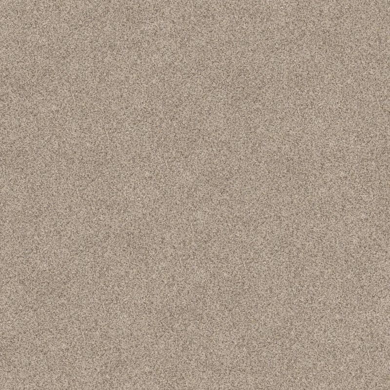 Shaw Floors Value Collections Devon Classic III Net Cricket Club