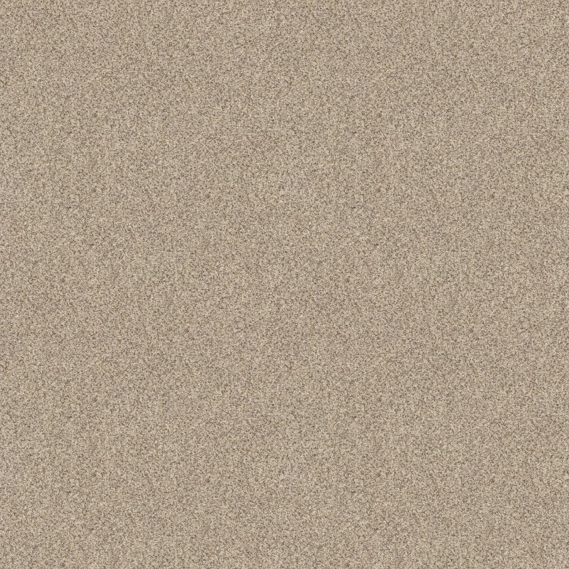 Shaw Floors Value Collections Devon Classic III Net Cream Tea
