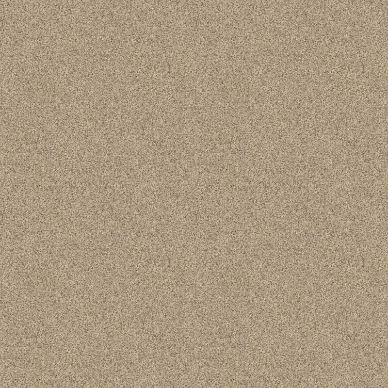 Shaw Floors Value Collections Devon Classic III Net Toasted Grain