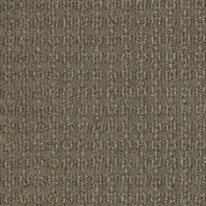 Shaw Floors Value Collections Luxe Classic Net Tibetan Plateau
