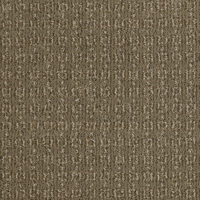 Shaw Floors Value Collections Luxe Classic Net Welsh Hill