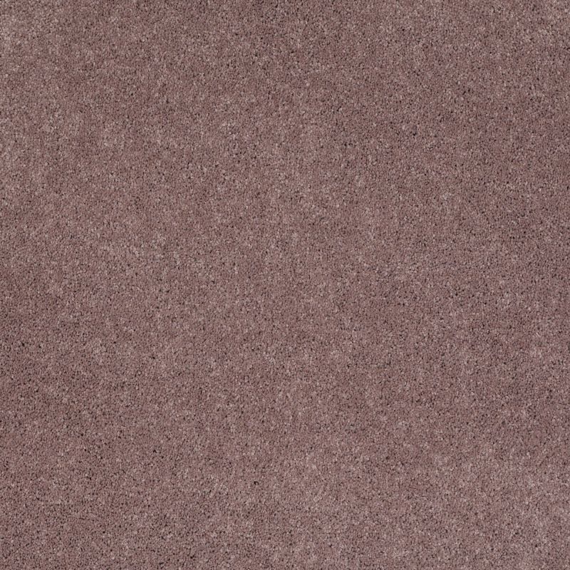 Shaw Floors Caress By Shaw Quiet Comfort I Portland