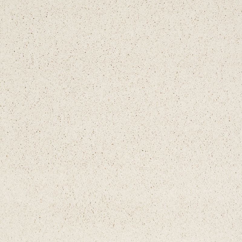 Shaw Floors Caress By Shaw Quiet Comfort Iv Icelandic