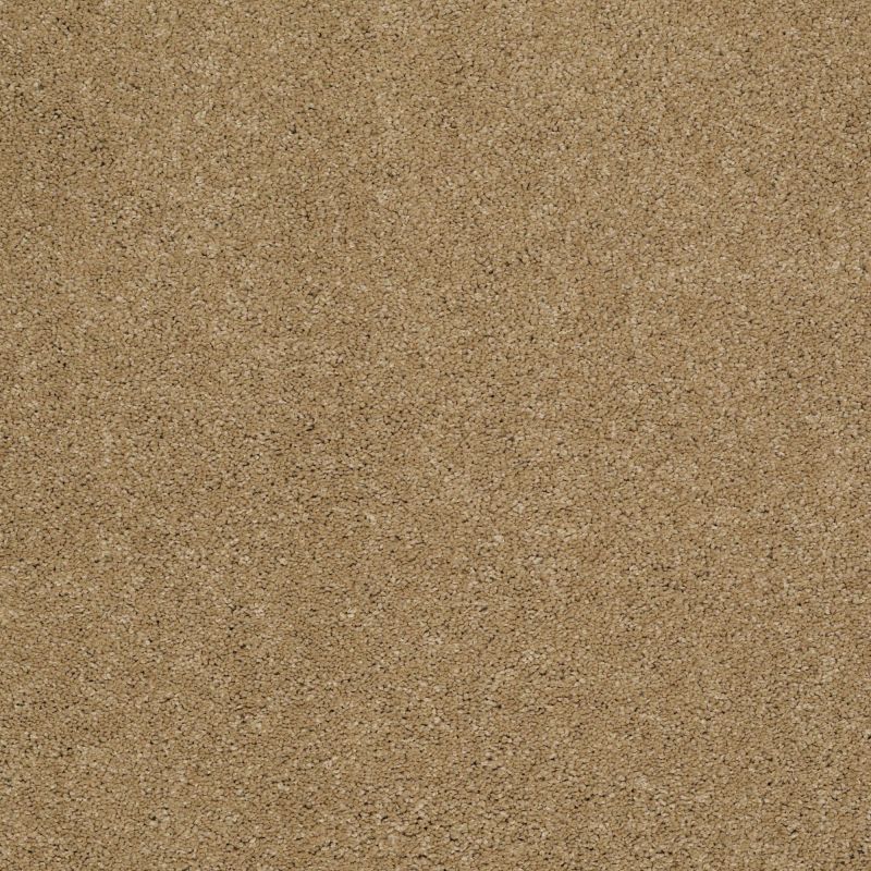 Shaw Floors Caress By Shaw Quiet Comfort Classic III Navajo