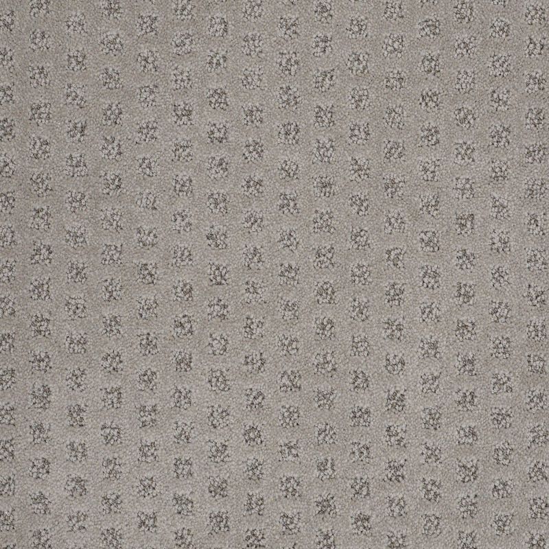 Shaw Floors Caress By Shaw My Expression Arctic Frost
