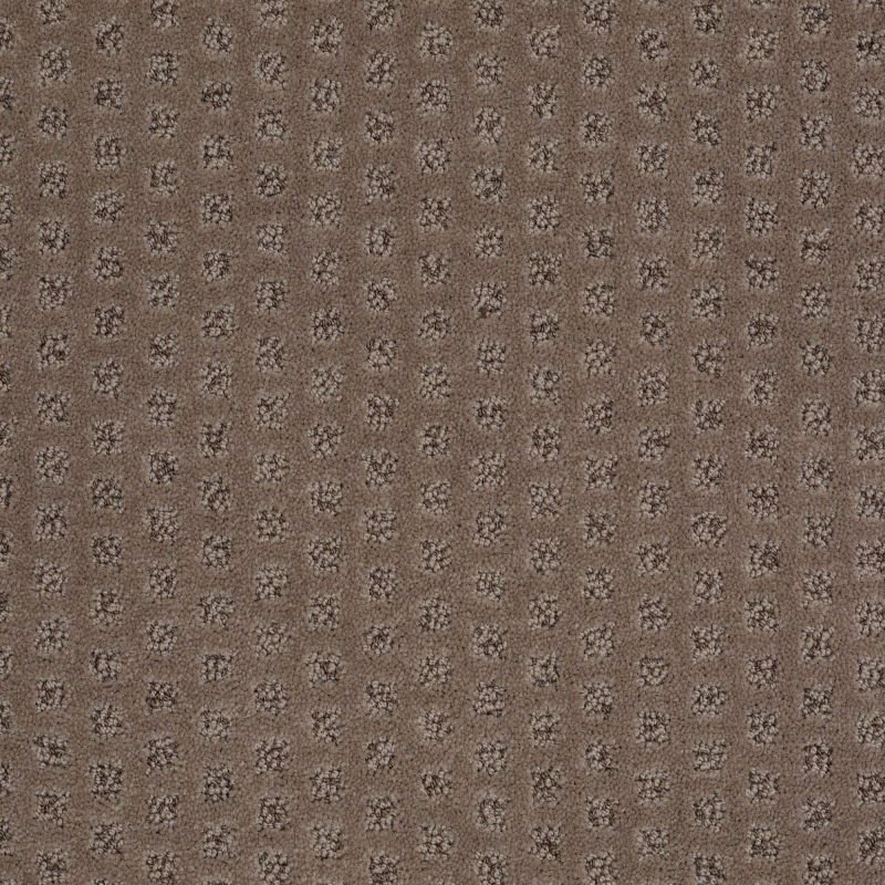 Shaw Floors Caress By Shaw The Arts Pebble Creek