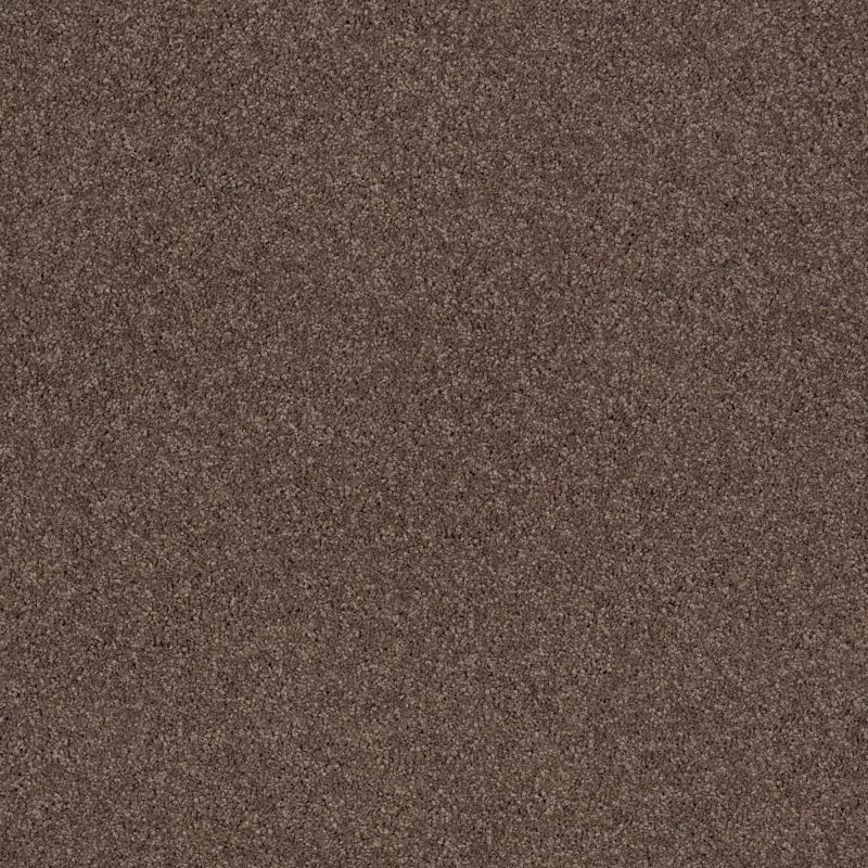 Shaw Floors Caress By Shaw Cashmere Classic III Spring - Wood